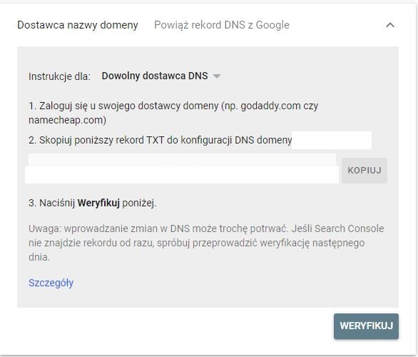 Dostawca nazwy domeny DNS - weryfikacja własności w Google Search Console